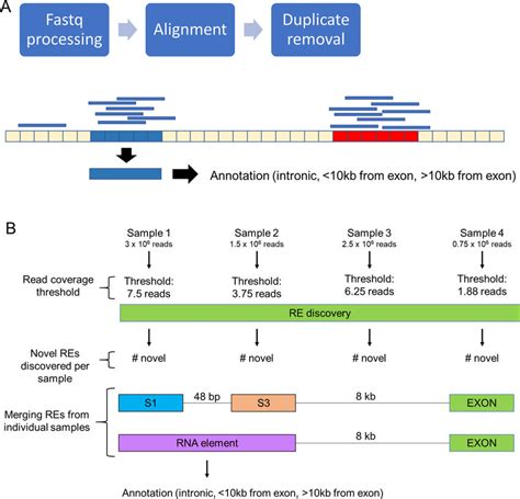 why are the end of rnaseq reads low quality